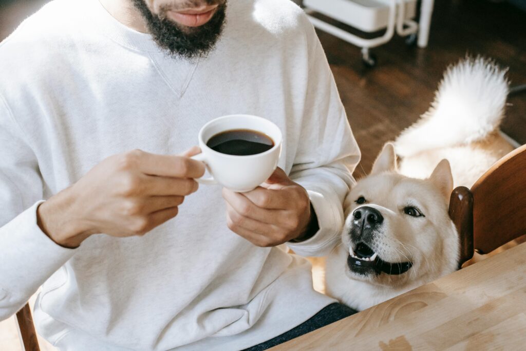From above of funny Akita Inu dog sniffing coffee cup in hands of crop unrecognizable ethnic male person sitting at table during breakfast