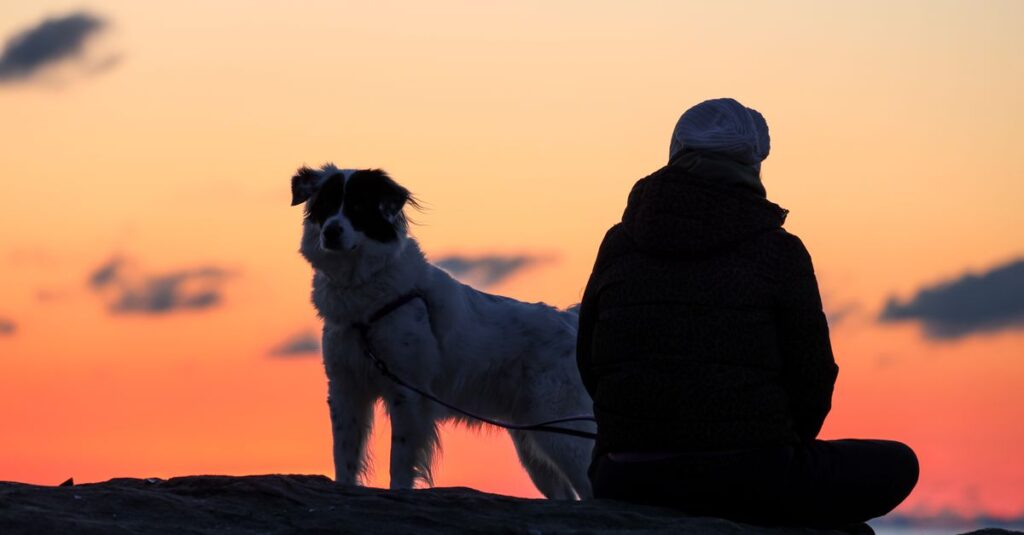 A serene silhouette of a person and dog enjoying a sunset outdoors.