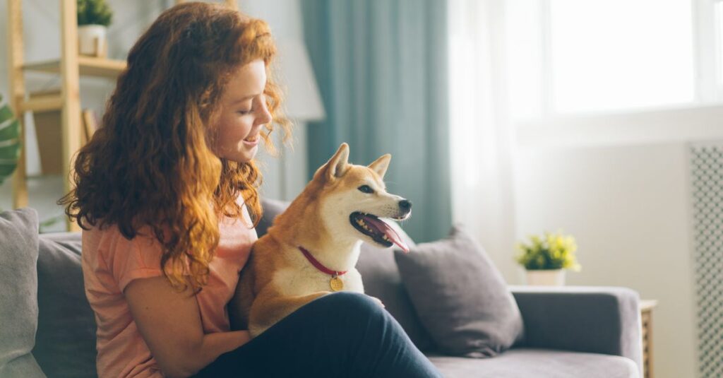 Red-haired woman seated on a cozy sofa indoors, enjoying time with her Shiba Inu pet.