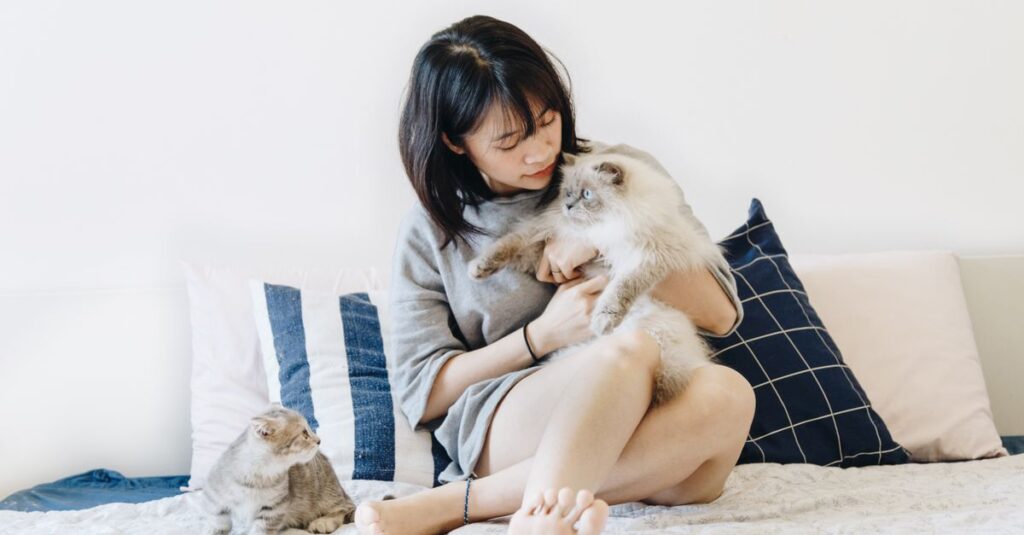 A woman relaxing on a bed with two cats in a cozy indoor setting.