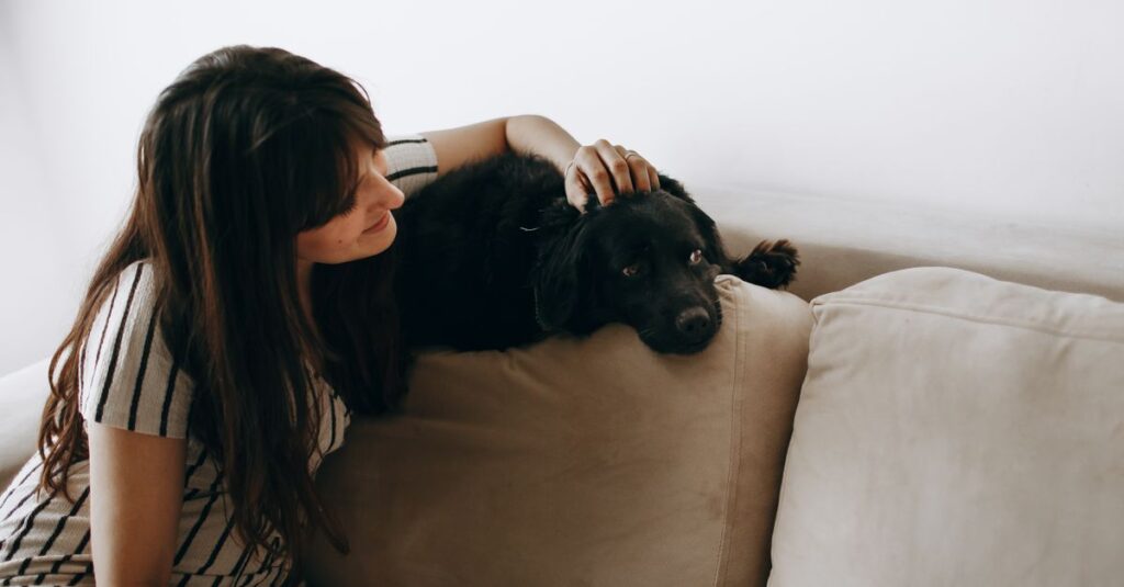 A woman gently pets her black dog on a beige sofa, creating a cozy indoor scene.