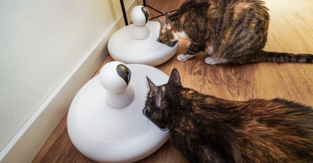 Two domestic cats eating from modern smart pet feeders in an indoor setting.