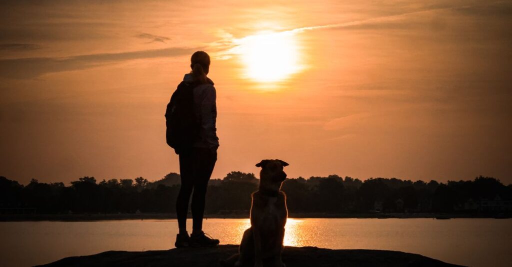 Silhouette of a person and their dog enjoying a tranquil lake sunset in Stamford, CT.