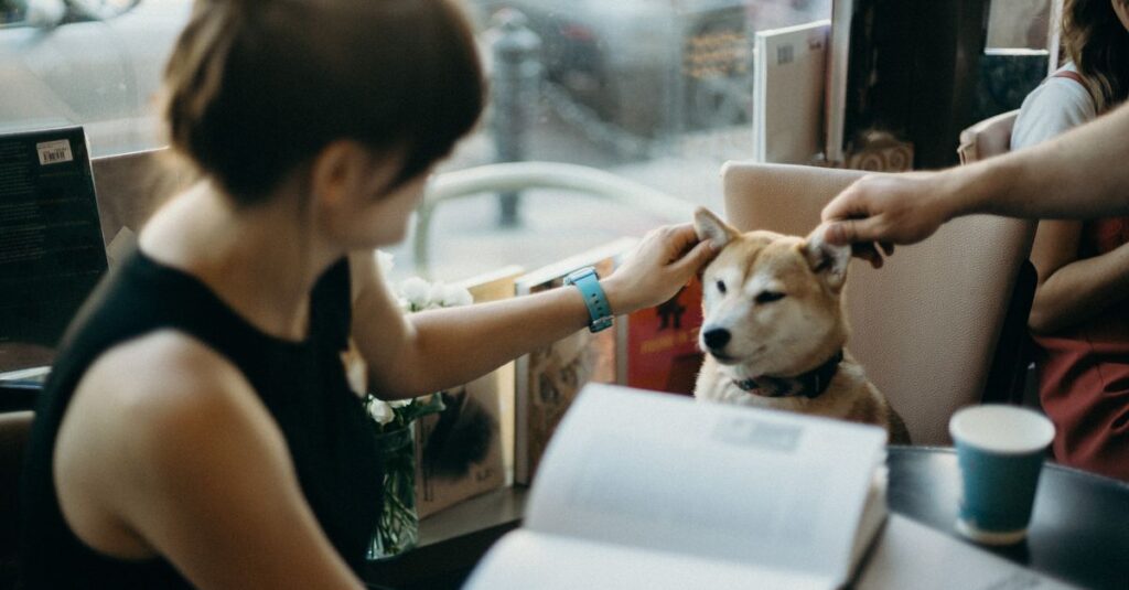 A woman petting a Shiba Inu at a cozy cafe, surrounded by books. Perfect for lifestyle and pet themes.