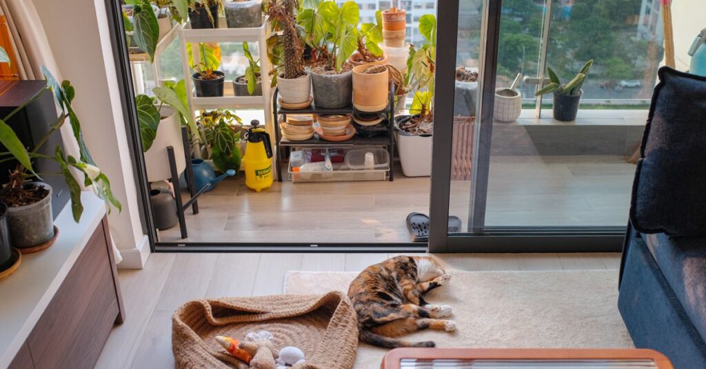 A peaceful house cat rests amid vibrant indoor plants by a sunny window.