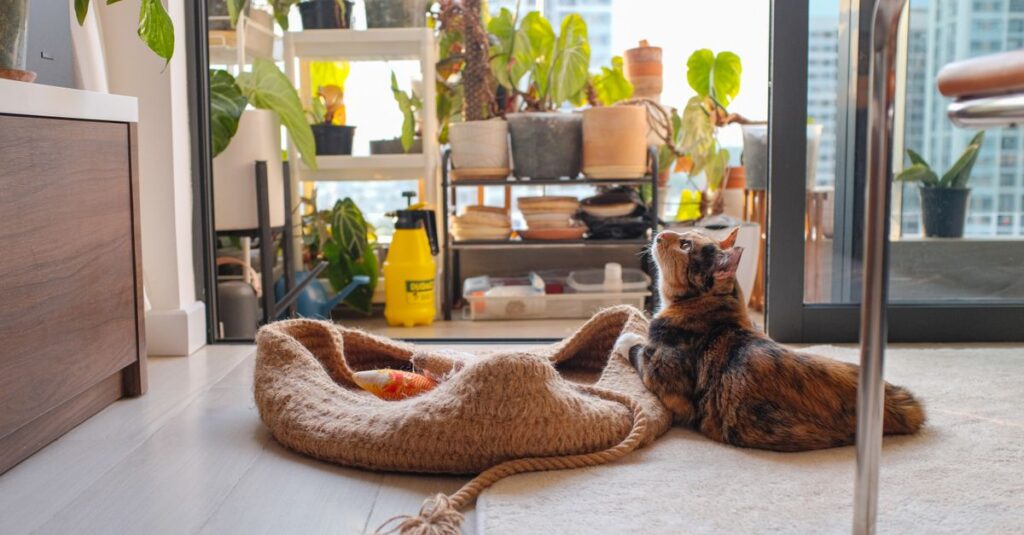 Domestic cat lounging in a cozy urban indoor garden filled with vibrant green plants.