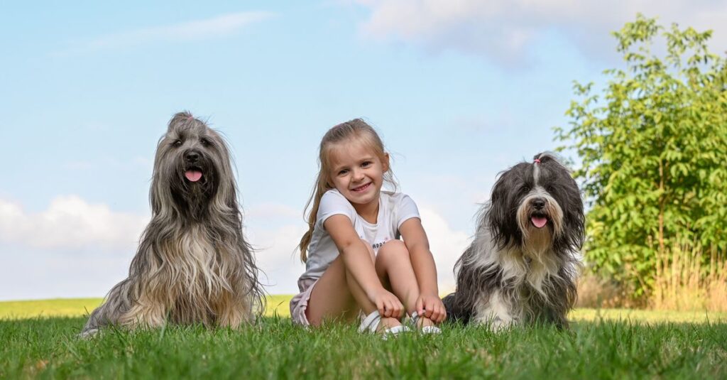 A cheerful girl sits with two dogs on green grass under a sunny sky.