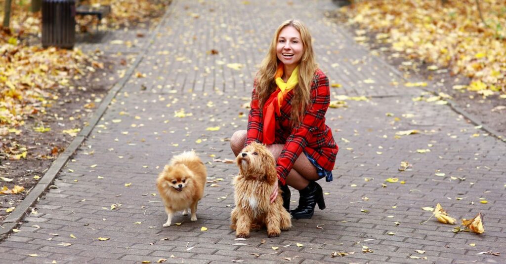 Happy woman in plaid jacket with dogs enjoying a walk in a serene autumn park.