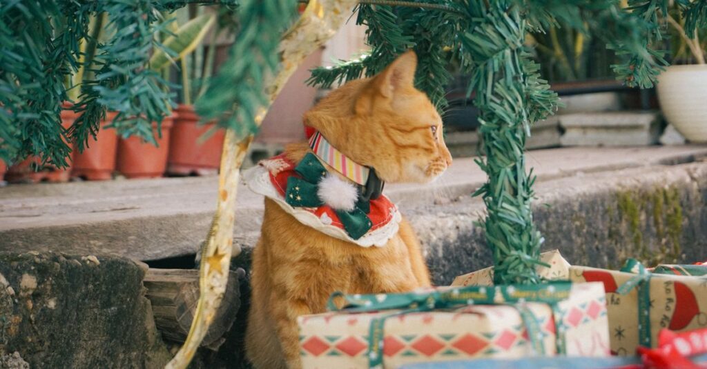 A ginger cat wearing a festive collar under a Christmas tree surrounded by gifts.