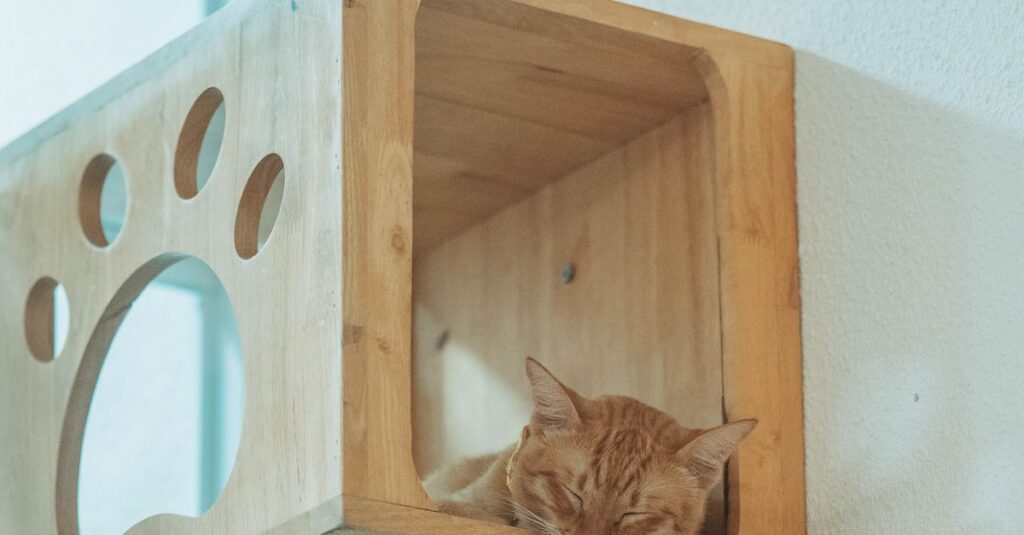 A cozy ginger cat rests inside a modern wooden cat house with a paw cutout design.