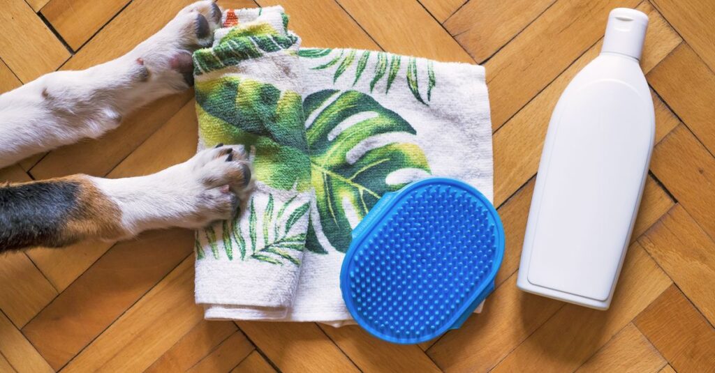 Flat lay of pet grooming essentials with dog paws, shampoo, towel, and brush on wooden floor.