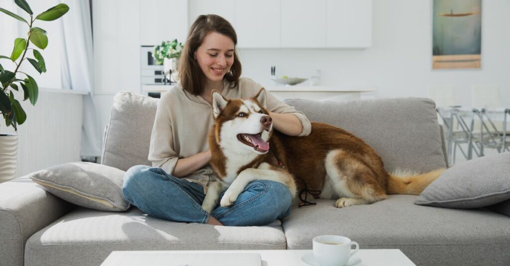 Smiling young woman relaxes on a couch with her Siberian Husky in a modern living room.