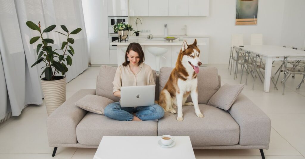 Woman working on a laptop with a Siberian Husky in a modern living room.