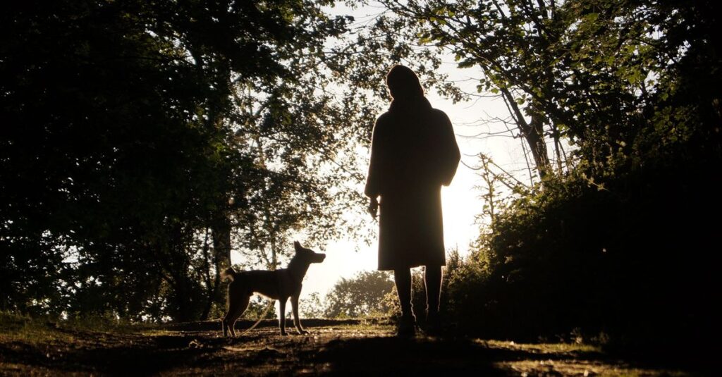A silhouette of a woman and her dog in a forest, illuminated by the sunrise.