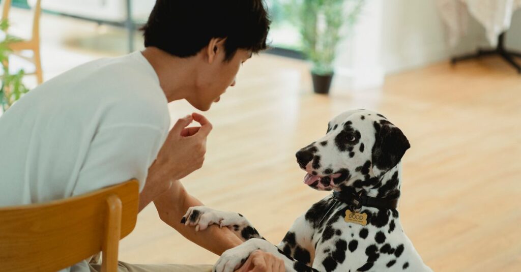 A dalmatian dog playfully interacts with its owner in a cozy indoor setting, creating a warm atmosphere.
