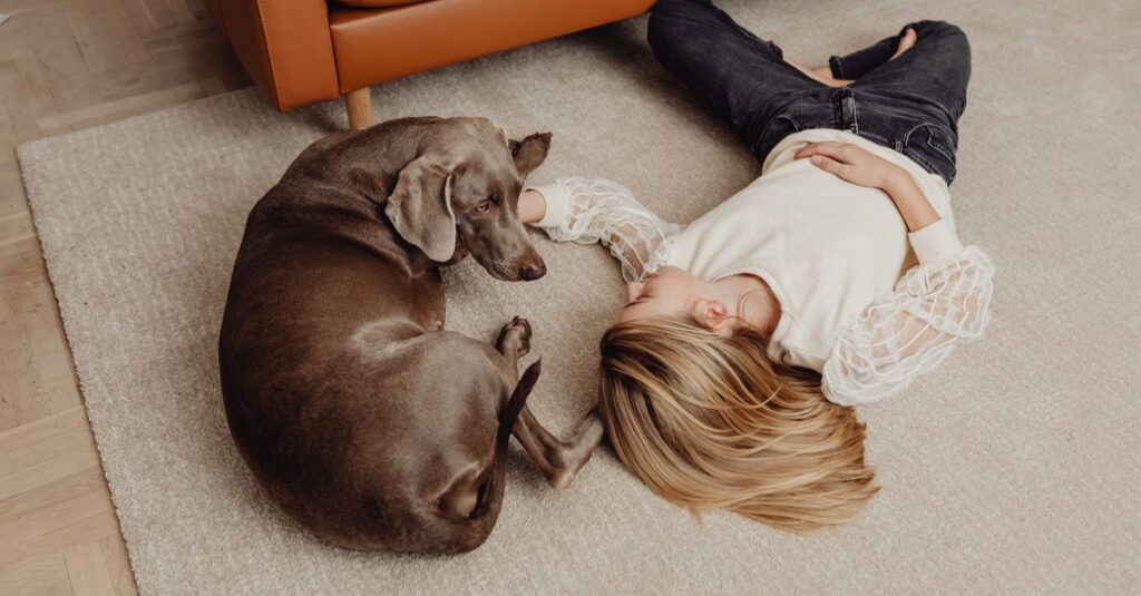 Woman relaxing with her Weimaraner dog on a carpeted floor, showing warmth and companionship.