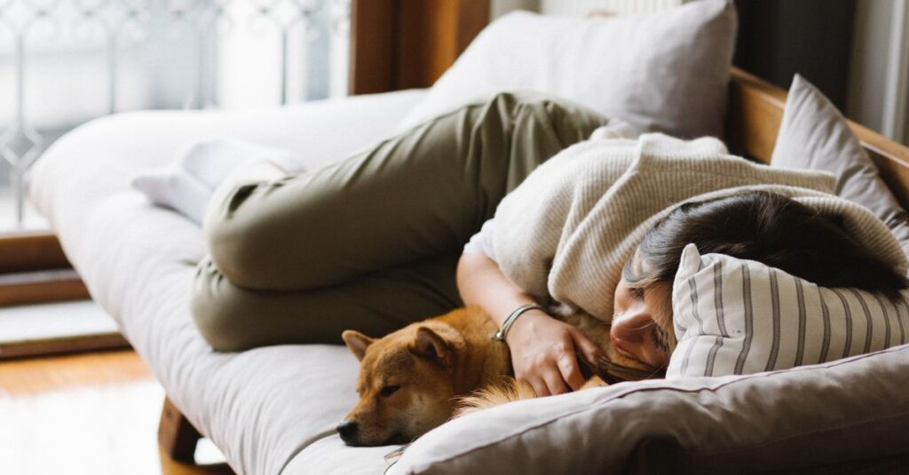 A peaceful scene of a woman napping with her Shiba Inu dog on a sofa.
