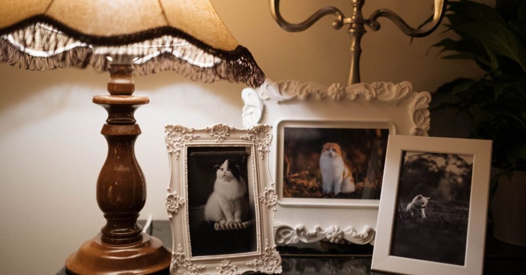 Charming room with vintage lamp, cat photos, and ornate frames.
