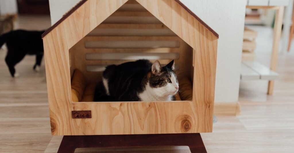 A cozy domestic cat rests inside a modern wooden pet house, creating a warm home ambiance.